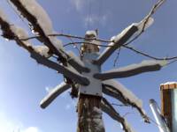 Eine Skulptur schaffen, aus der Notwendigkeit einem alten Weinstock eine Rankhilfe zu geben.